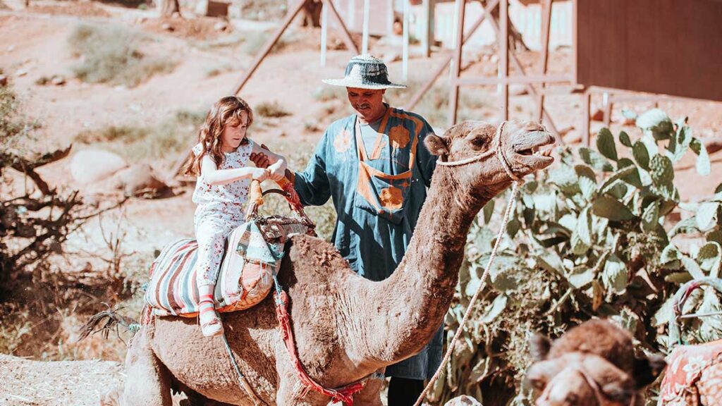 How to ride a camel