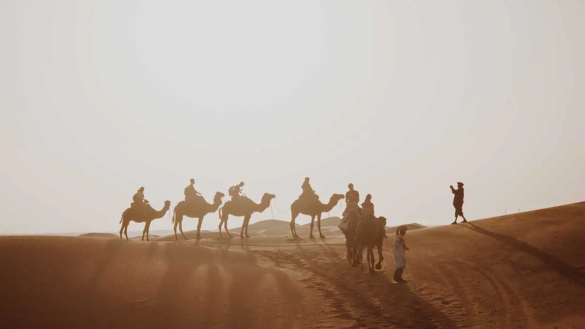 Your Ultimate Guide To Camel Trekking In Morocco