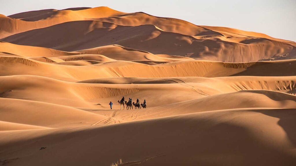 best place to ride a camel in Morocco