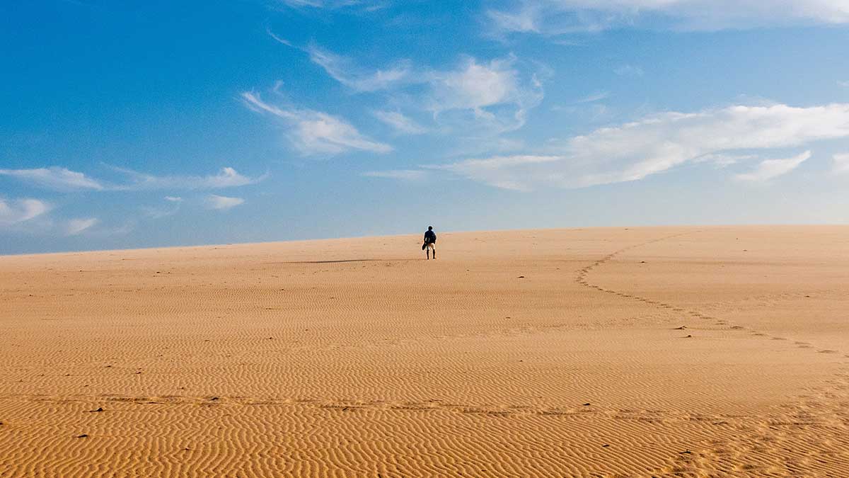Private Excursions to the Desert