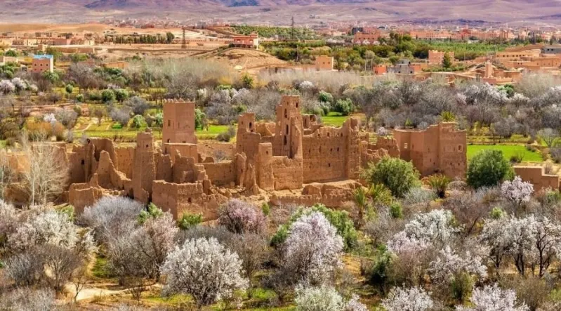 Summit of Mount Kilimanjaro, showcasing snow-capped peaks against a clear blue sky, viewed from the Atlas Mountains in Morocco.
