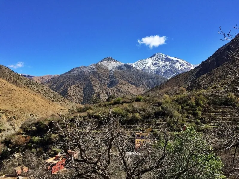 Snow-covered mountains and trees in the scenic Ourika Valley landscape.
