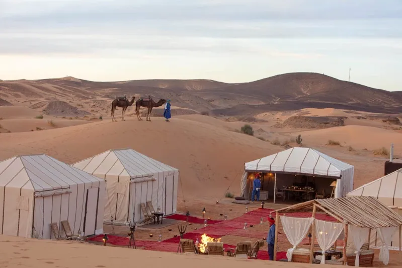 A tent in the desert with a camel nearby, showcasing a serene scene from a Marrakech desert tour.