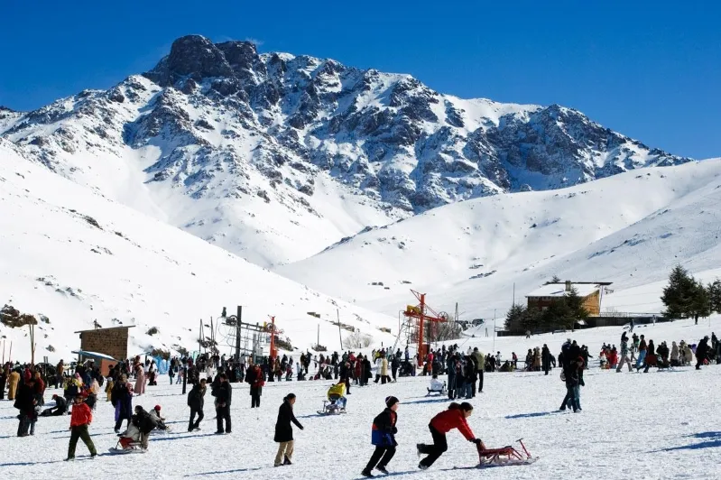 A large group of skiers navigates a snowy mountain, showcasing the excitement of winter sports in a picturesque landscape.