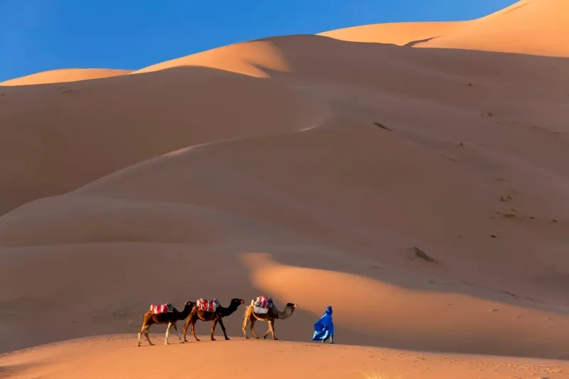 When is the Best Time to Go to Morocco? The Definitive Guide