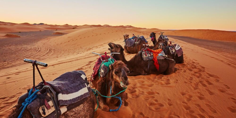 desert-morocco